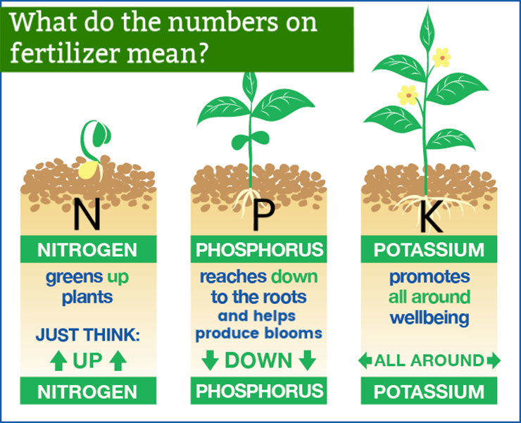 0 20 20 Fertilizer Why Zero Nitrogen Mixes Reign Supreme Worst Room