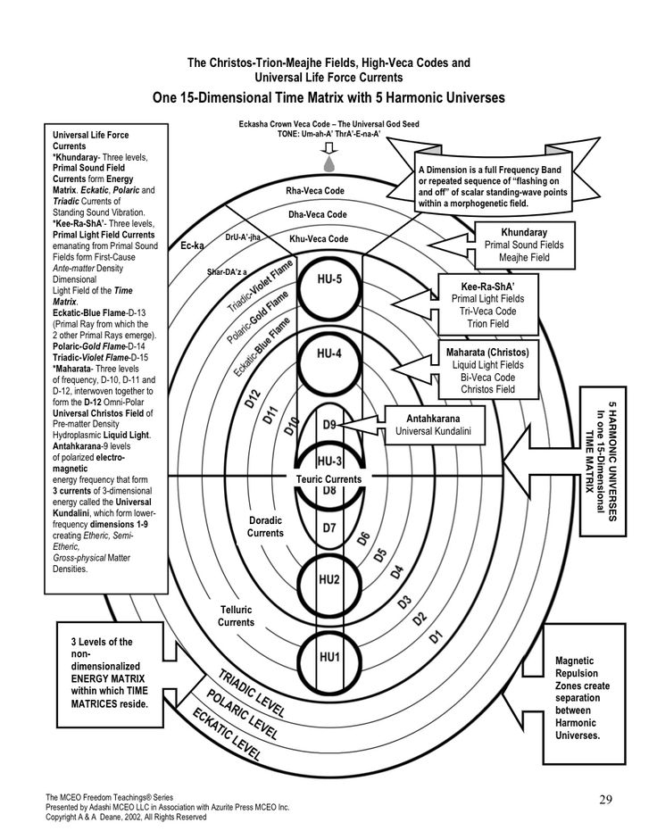 15 Dimensional Time Matrix Metaphysical Spirituality Magick Book 