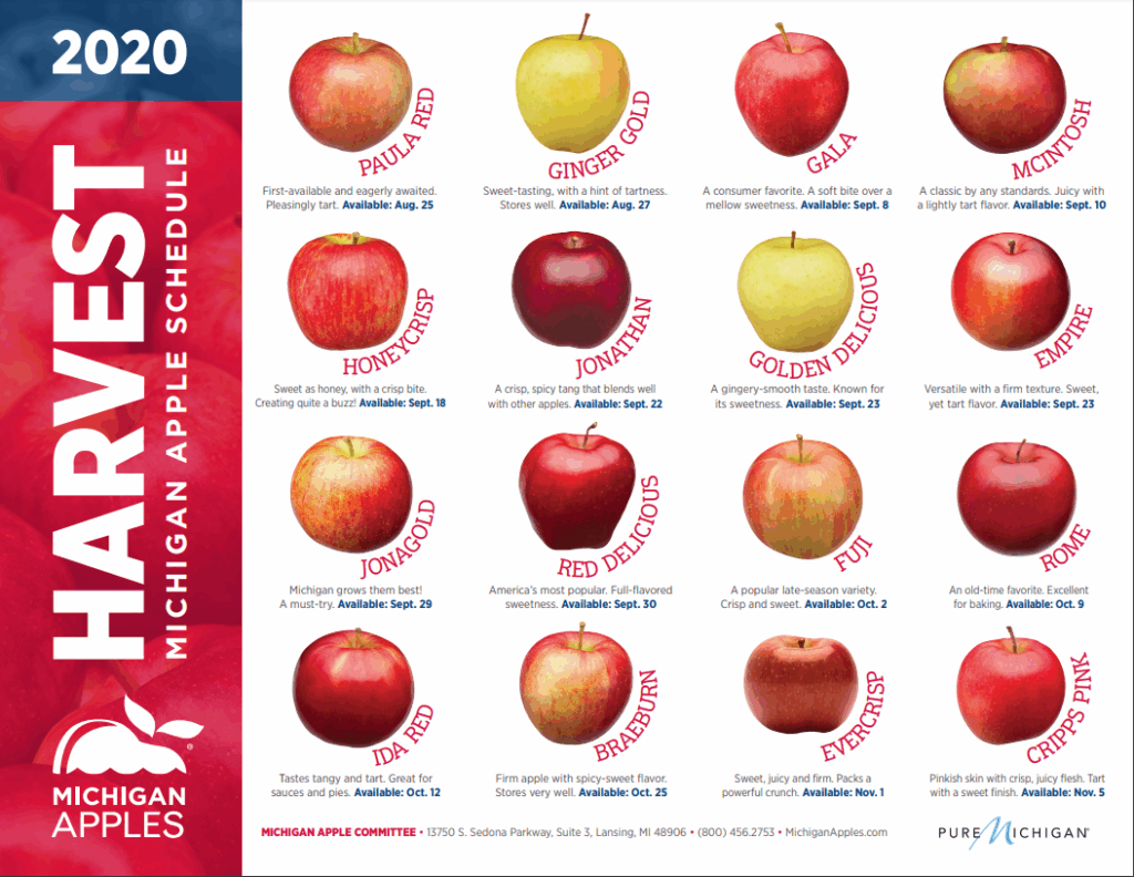 20 Apple Orchards Perfect For Apple Picking In West MI Grkids