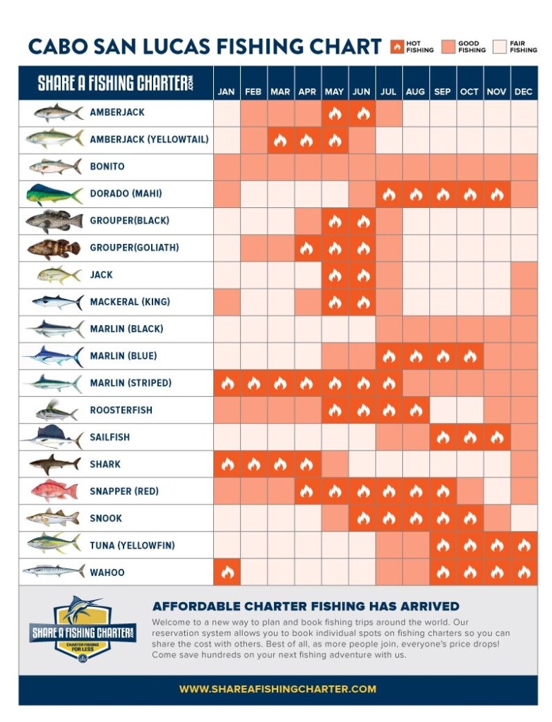 20 Fishing Calendar Free Download Printable Calendar Templates 
