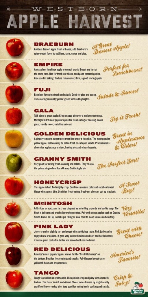 Apple Chart Apple Harvest Apple Chart Fresh Snacks