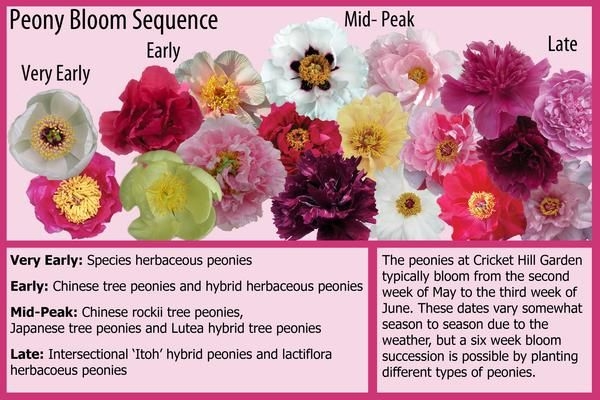 Below Is A Rough Breakdown Of The Bloom Times Of The Various Types Of