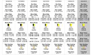 Best Deer Hunting Times Deer Hunting Guide