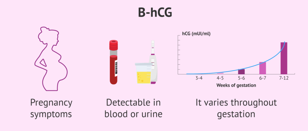 Beta HCG Doubling Time Calculator And Charts Flo 43 OFF
