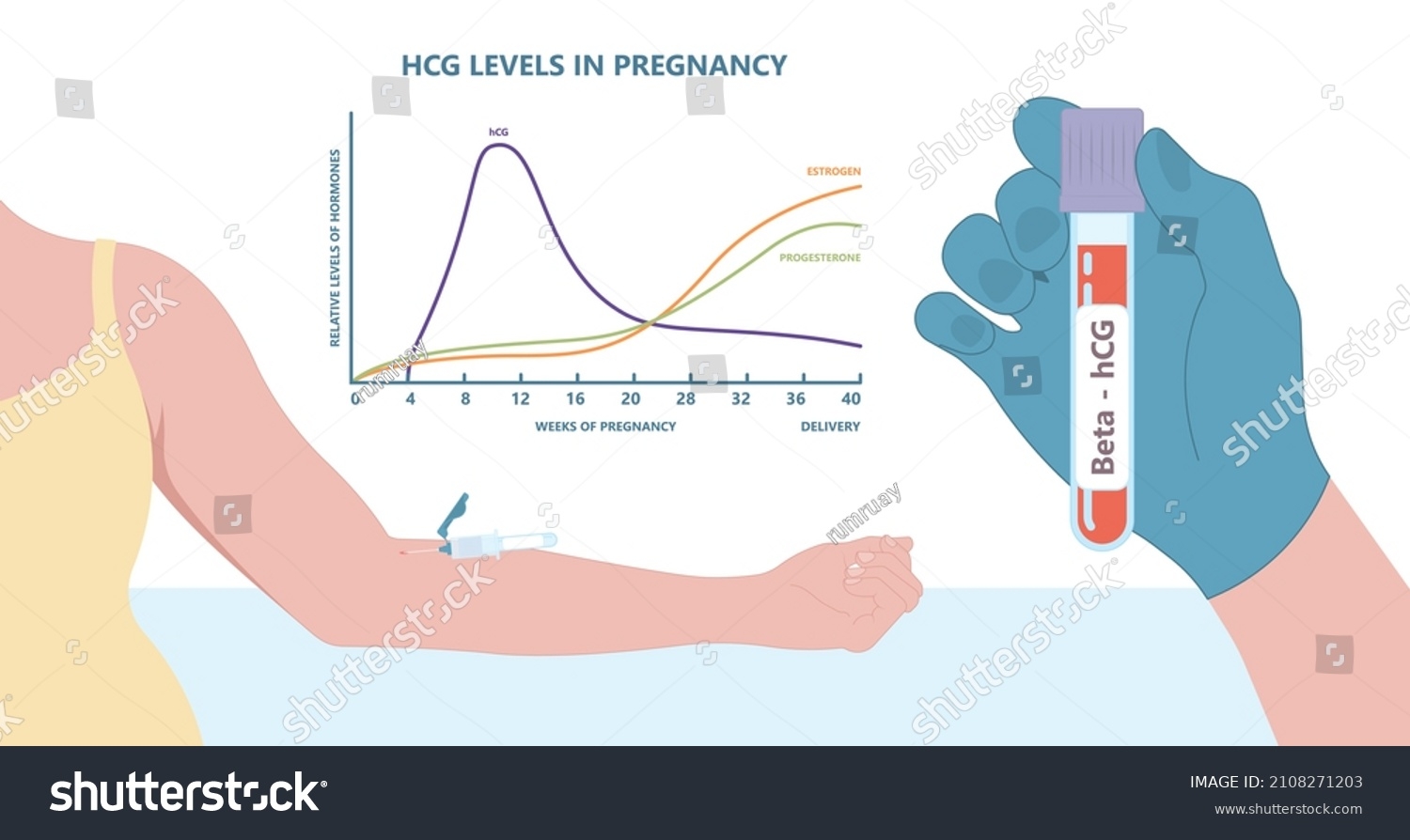 Beta HCG Doubling Time Calculator And Charts Flo