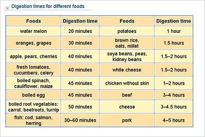 Biology Lower Secondary YDP Chart Digestion Times For Different