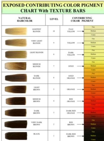 Bleach Hair Color Chart Warehouse Of Ideas