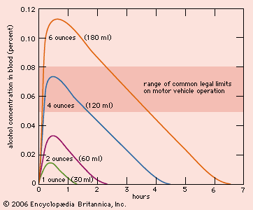 Blood Alcohol Concentration By Quantity Of Alcohol Over Time Students