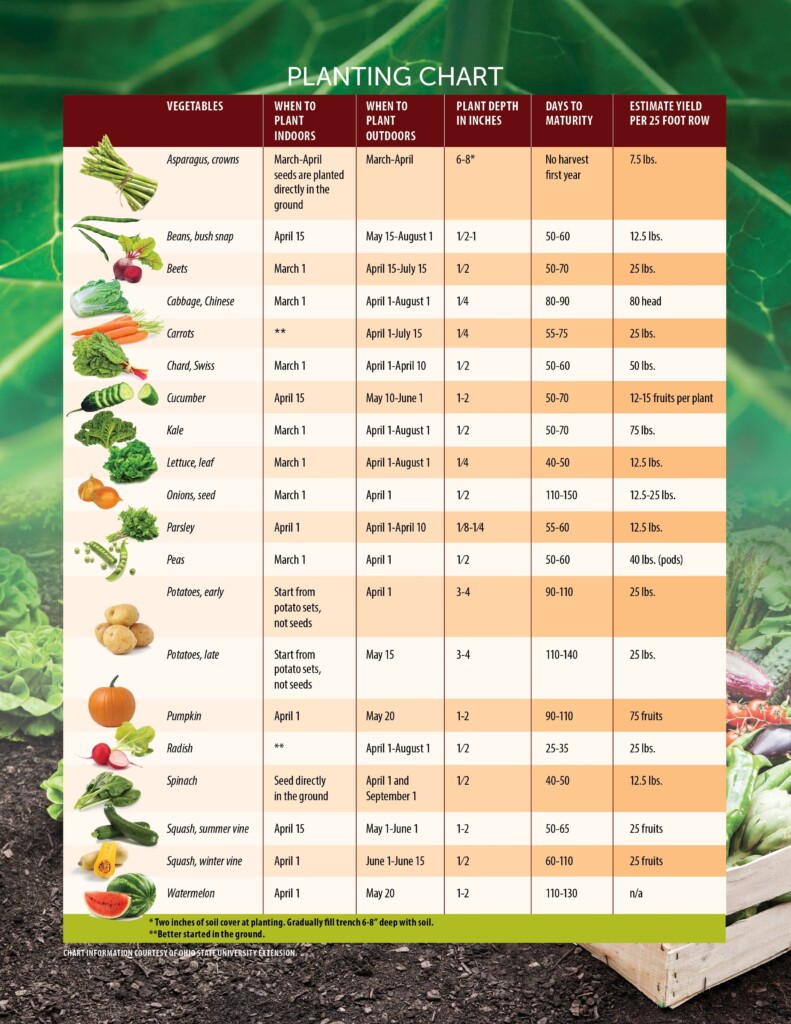 Chart For Planting Veggie Garden Image To U