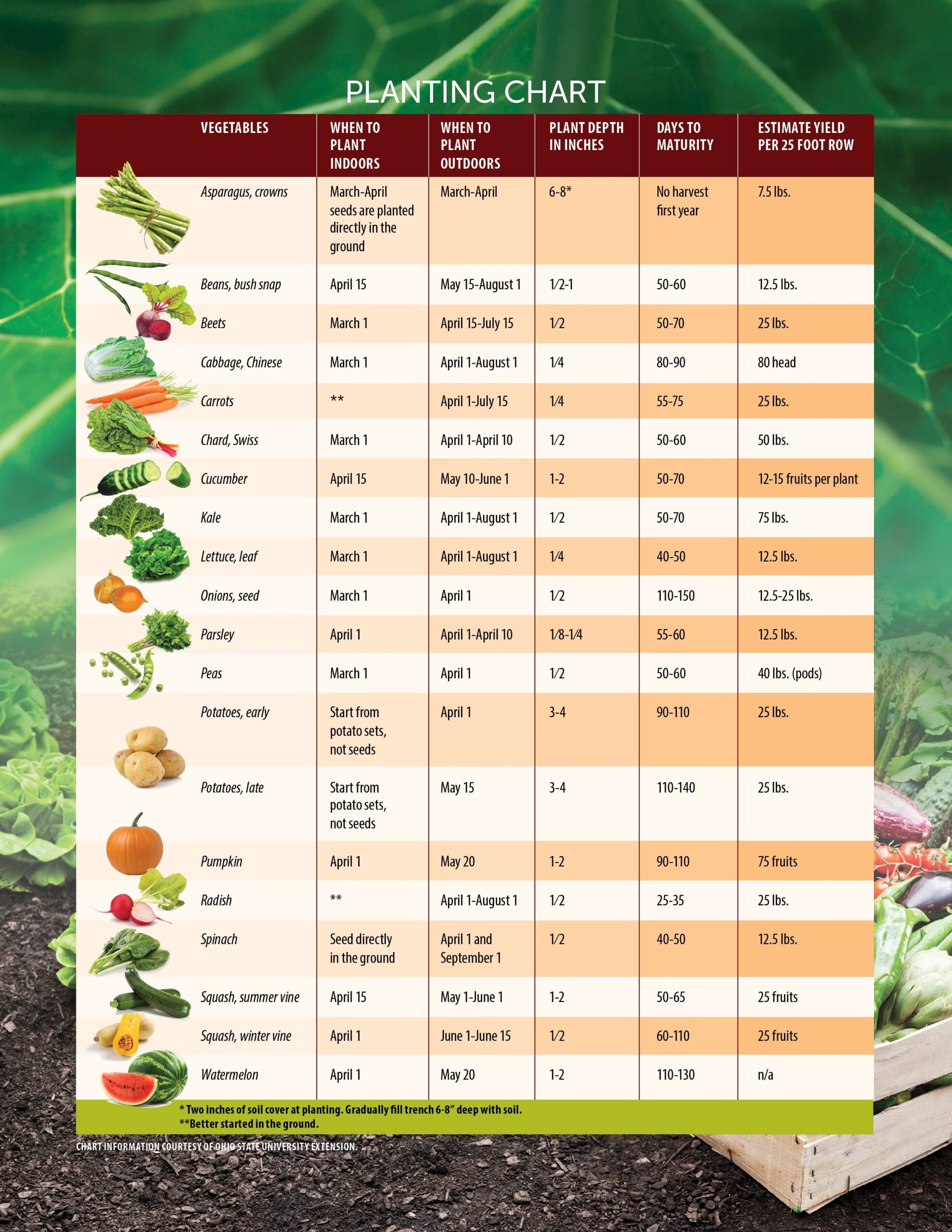 Chart For Planting Veggie Garden Image To U