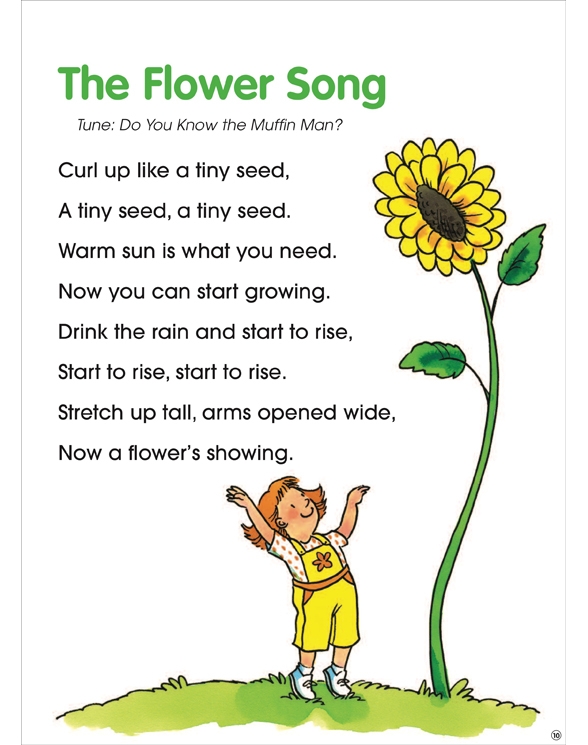 Circle Time Sing Along Flip Chart CD By Paul Strausman