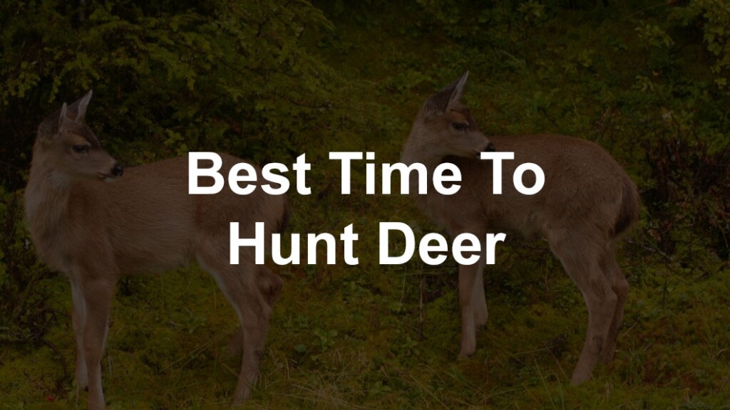 Deer Hunting Feeding Chart A Visual Reference Of Charts Chart Master