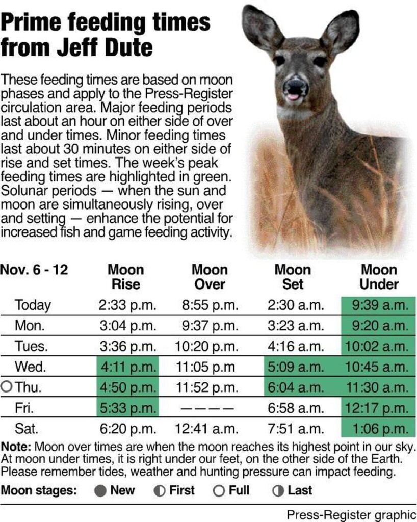 Deer Movement Calendar 2024 Rici Veronique