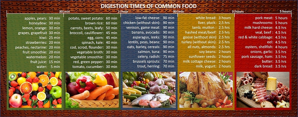 Digestion Times For Common Food