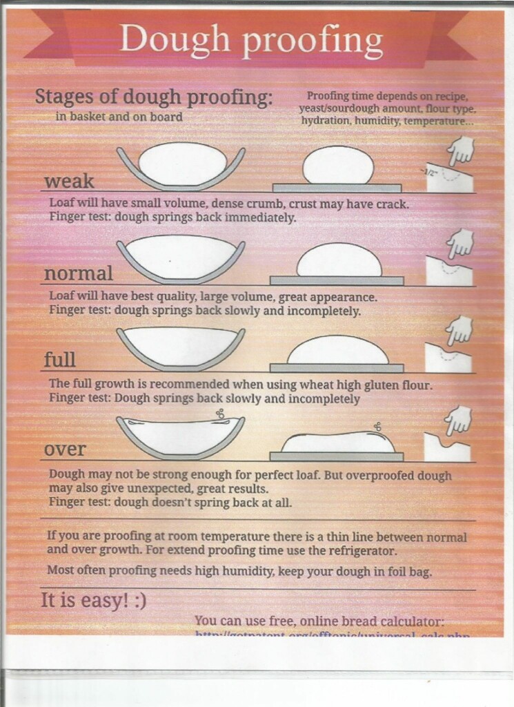Dough Proofing Chart Homemade Sourdough Bread Bread Recipes Homemade 