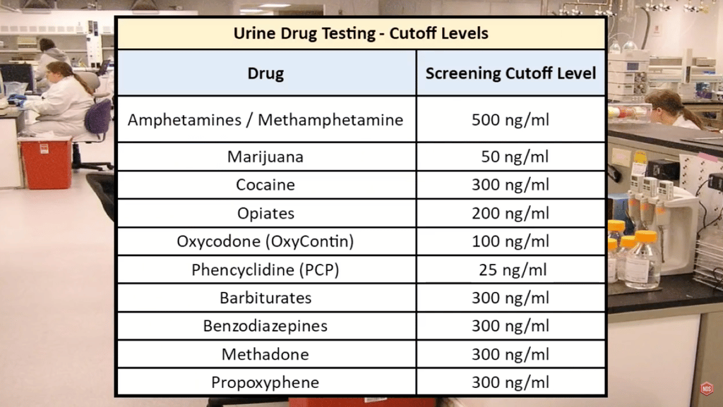 Drug Cut Off Levels Detection Times National Drug Screening