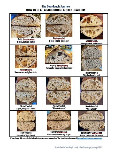 FAQ Over Proofed Or Under Proofed The Sourdough Journey