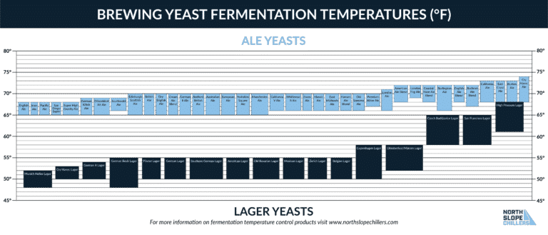 Fermentation Temperatures In The Brewing Process
