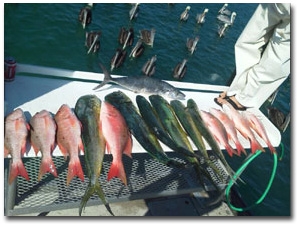 Good Time Deep Sea Charter Fishing Boat Jupiter Florida