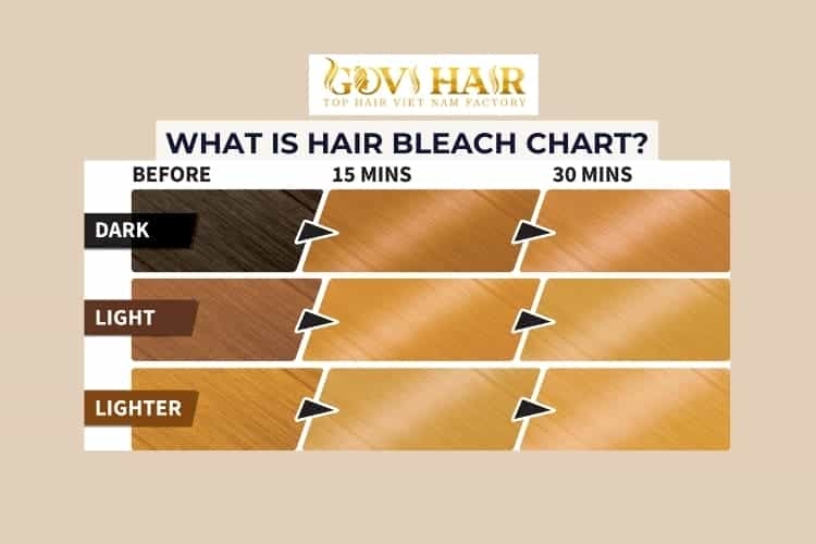 Hair Bleach Chart Your Guide To Perfect Hair Extensions