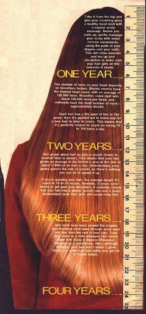 Hair growth chart Hair Growth Charts Natural Hair Styles Hair 