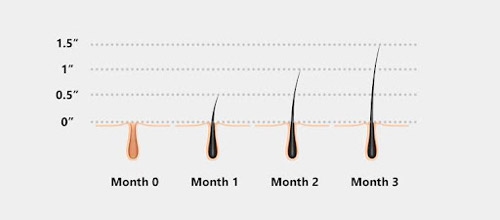 Hair Length Chart Easy Measurement Styles Care Guide