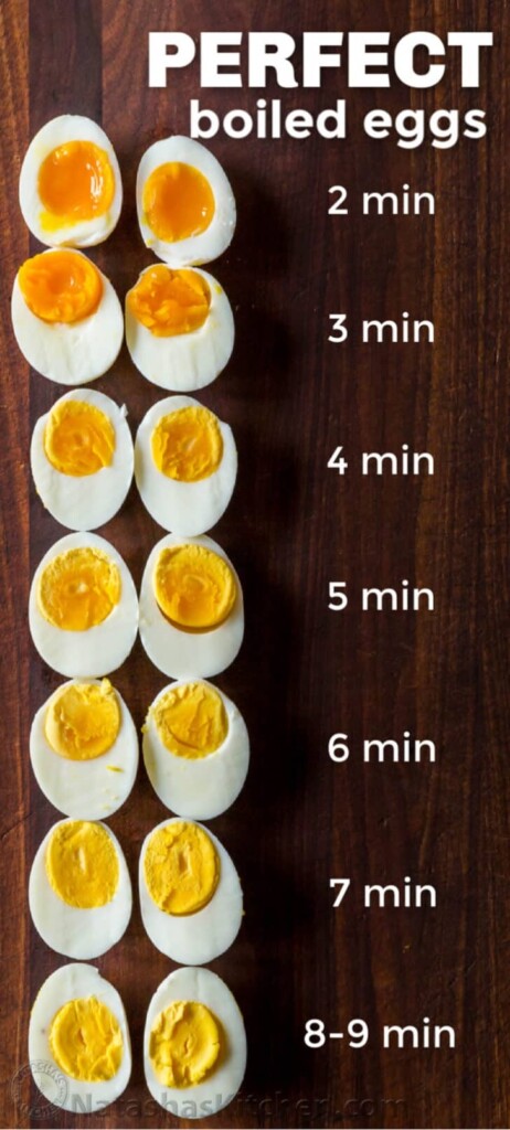 Hard Boiled Egg Cooker R cookingforbeginners