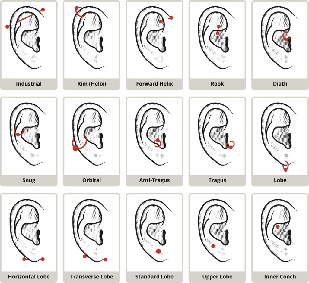 Healing Times Are Different Depending On The Piercing What To Know 
