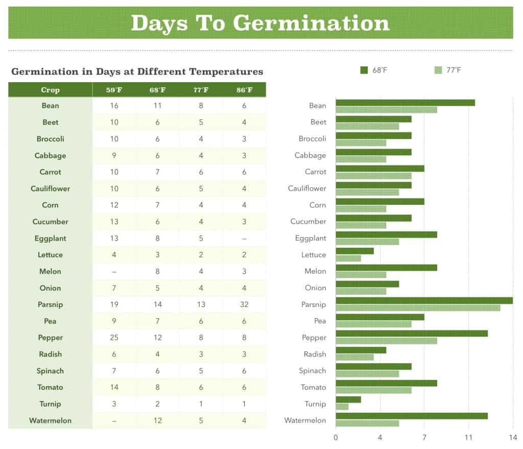 How And Why To Do A Seed Germination Test Northwest Edible Life
