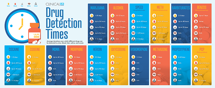 How Long Can Drugs Be Detected In The Body 