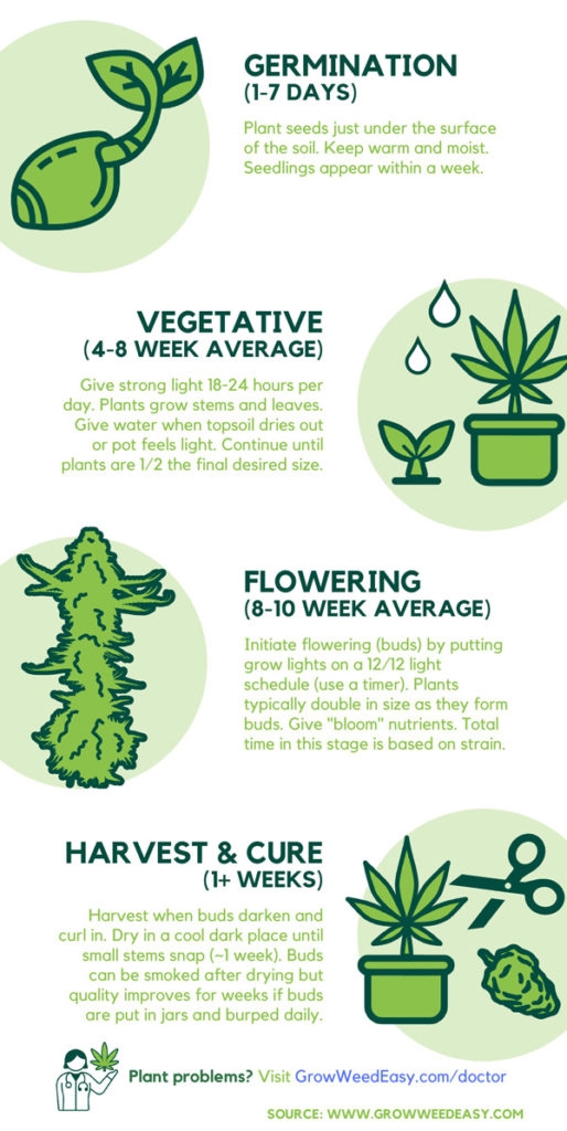 How Long Does It Take To Grow Weed Indoors 2 To 4 Months Grow 