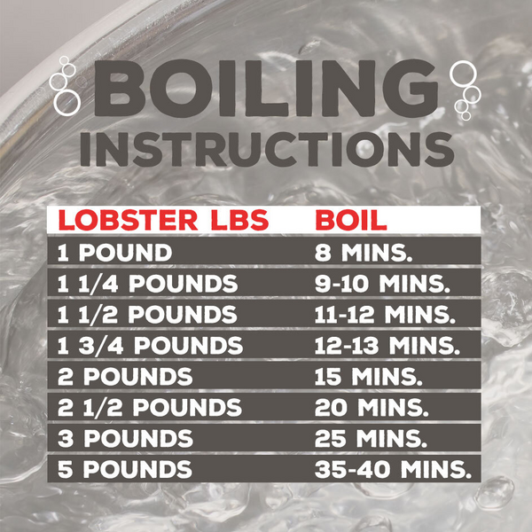 How To Boil Maine Lobsters Bob 39 s Seafood