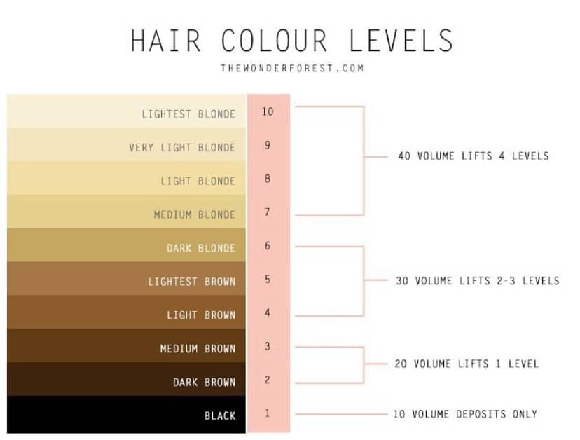 How To Go From Level 2 To Level 6 Hair Bleaching Dark Hair To Light 