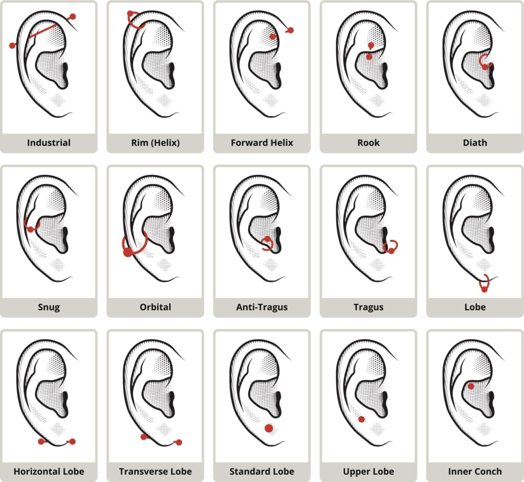 How To Pick An Ear Piercing According To The Experts Artofit