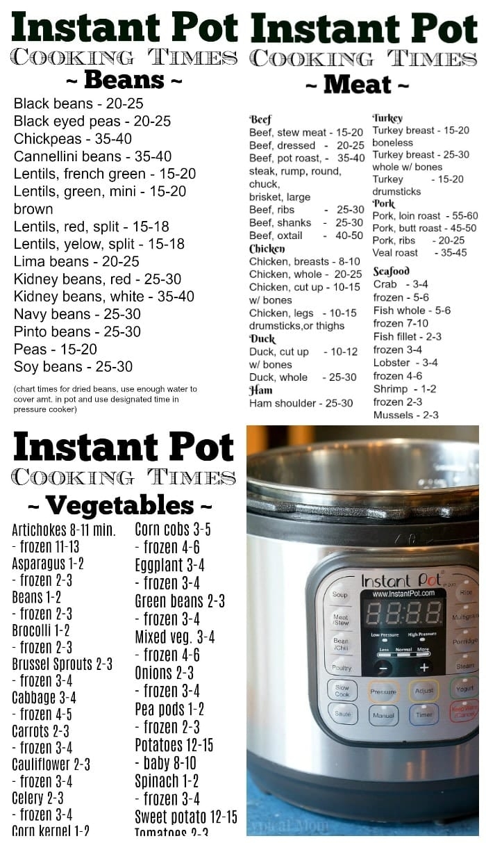 How To Use A Electric Pressure Cooker For The First Time At Bryant