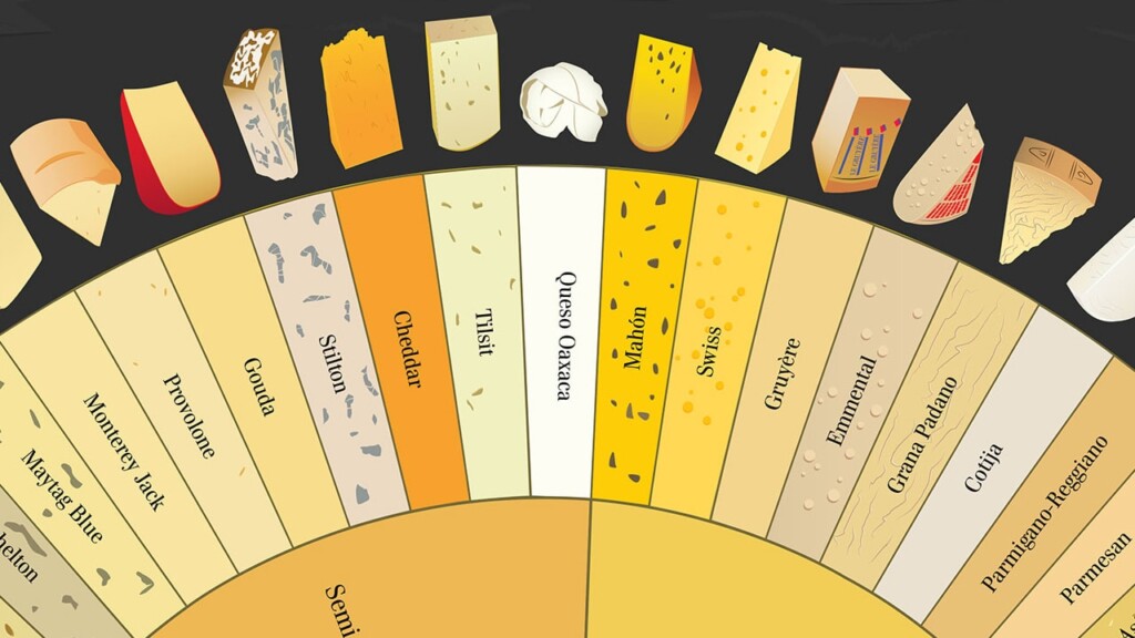 Infographic How To Tell The Difference Between 66 Varieties Of Cheese