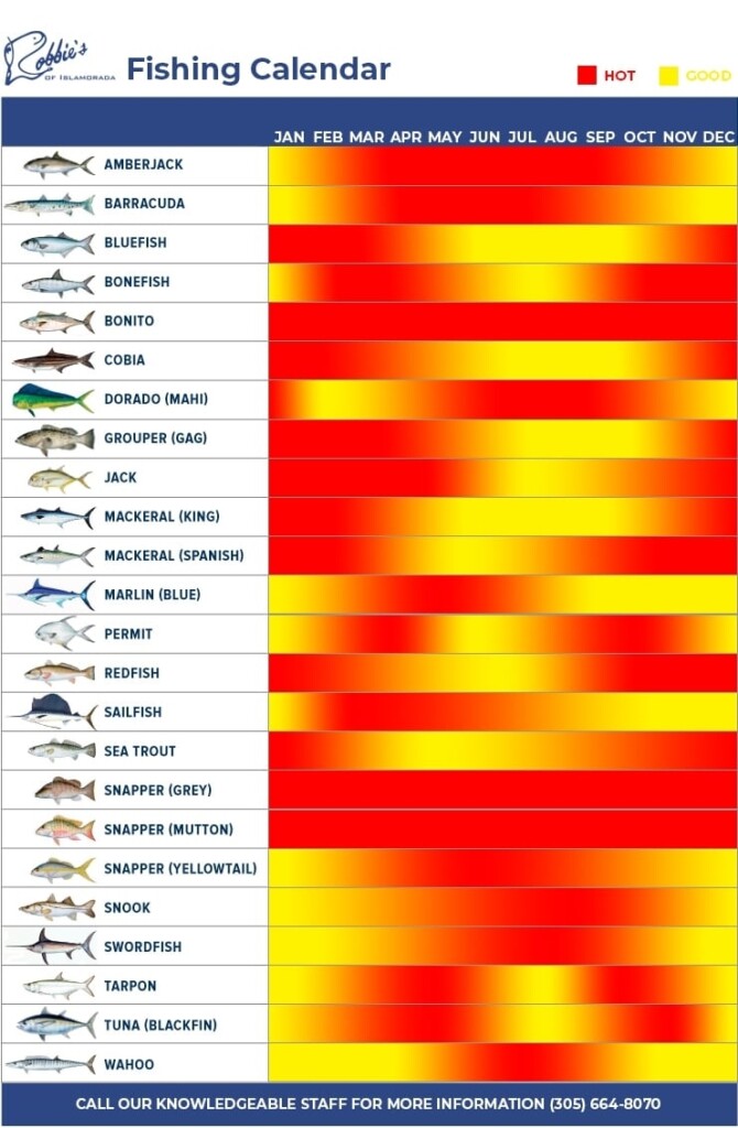 Islamorada Fishing Calendar Best Times To Fish Robbie 39 s