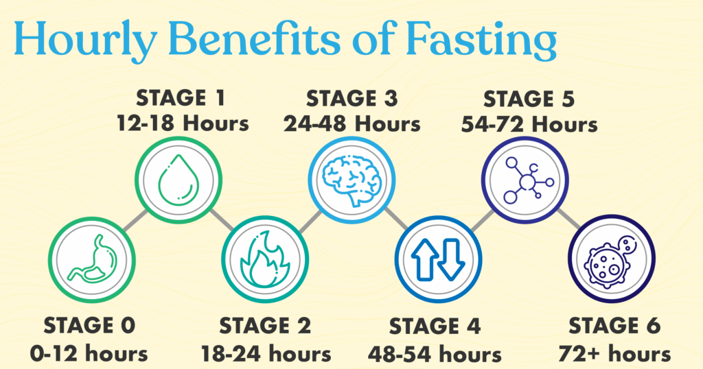 Metabolic Step By Step Stages Of Fasting In The First 72hrs Temper