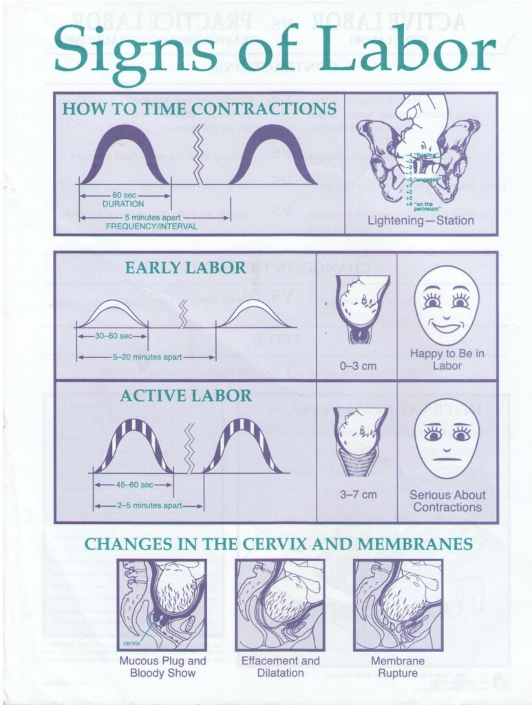 O Clock Contraction