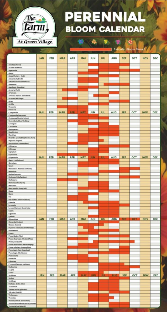 Perennial Bloom Calendar The Farm At Green Village