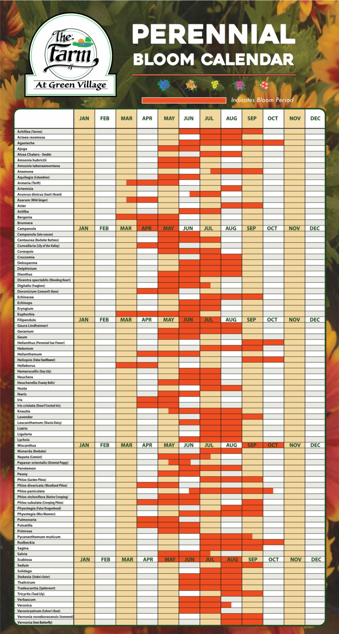 Perennial Bloom Calendar The Farm At Green Village