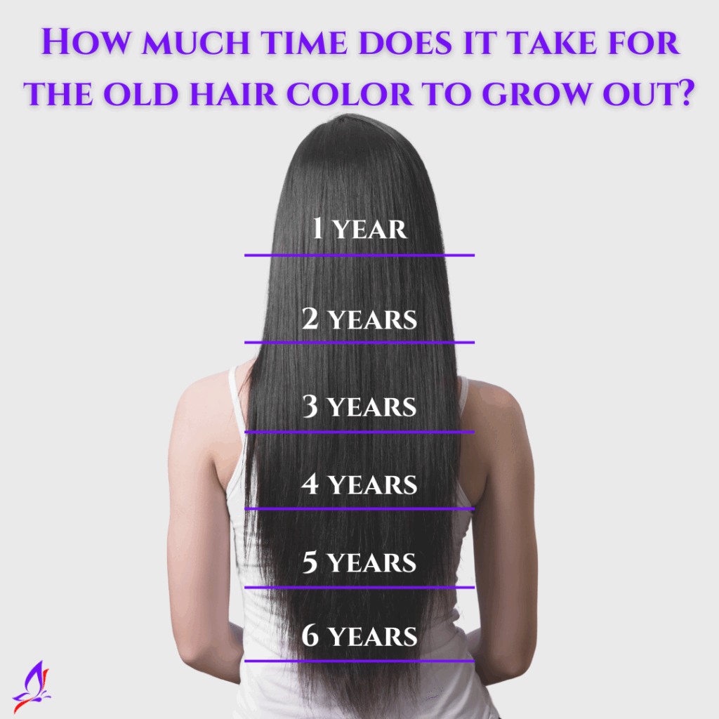 Pin By Andrea Dookhoo On Hair Hair Growth Charts Growing Your Hair 