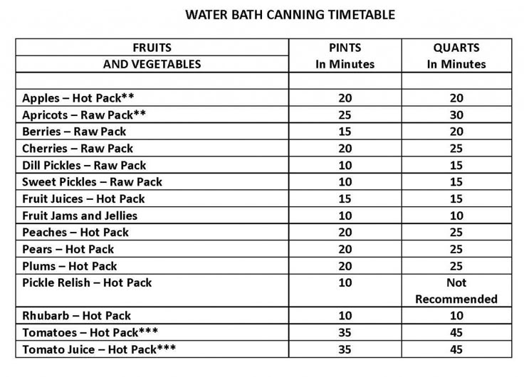 Prepper Canning 102 The Water Bath Canner Off The Grid News Canning 