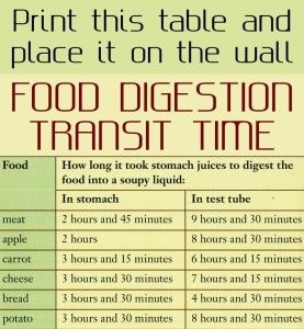 Print This Table And Place It On The Wall Food Digestion Transit Time 