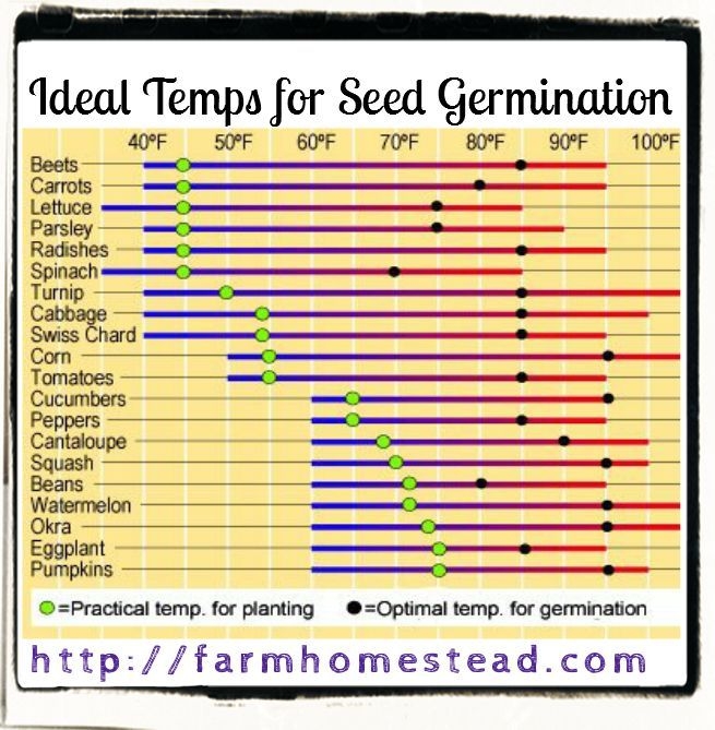 Printable Seed Germination Chart Seed Germination By Temperature Chart 