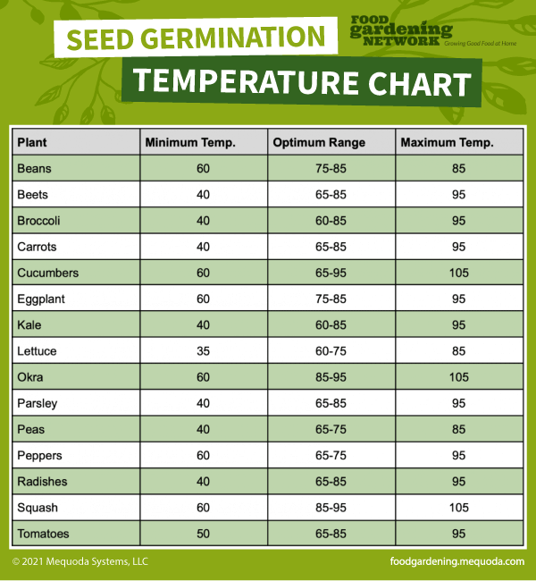 Printable Seed Germination Temperature Chart Food Gardening Network