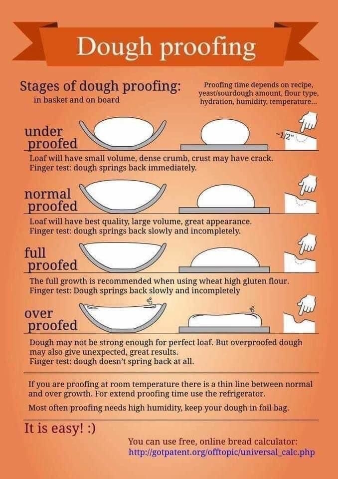 Proof Chart Brot Backen Einfach Brot Selber Backen Brot Backen 