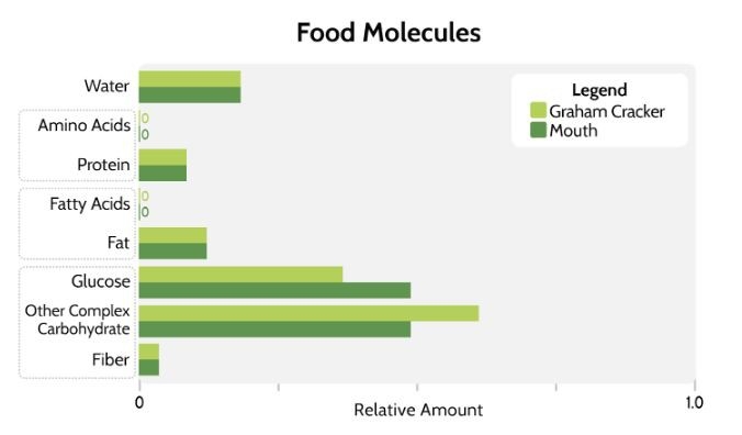 Protein Food Digestion Time Chart Digestion Duration Process And Tips 