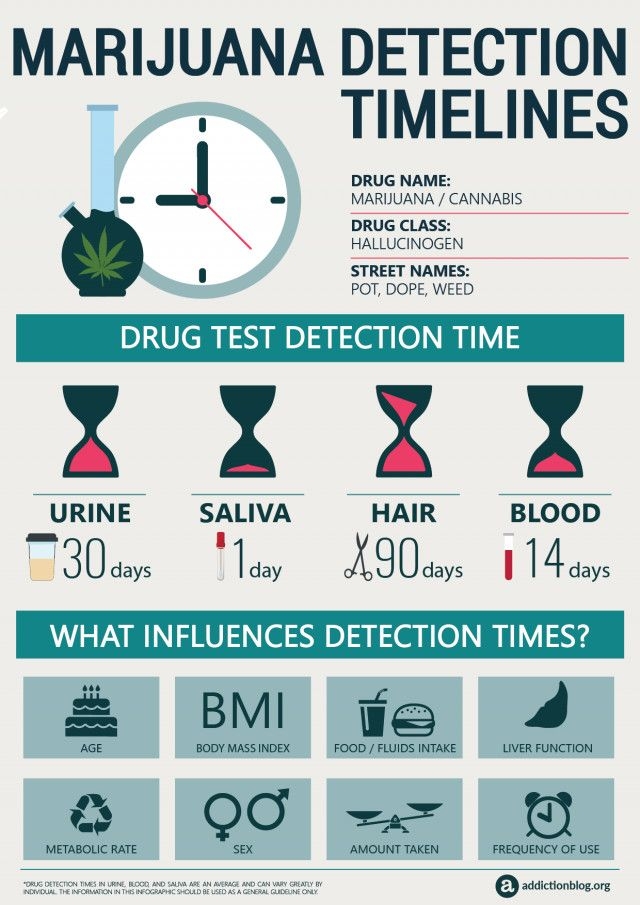 Psychology Marijuana Detection Timelines INFOGRAPHIC 