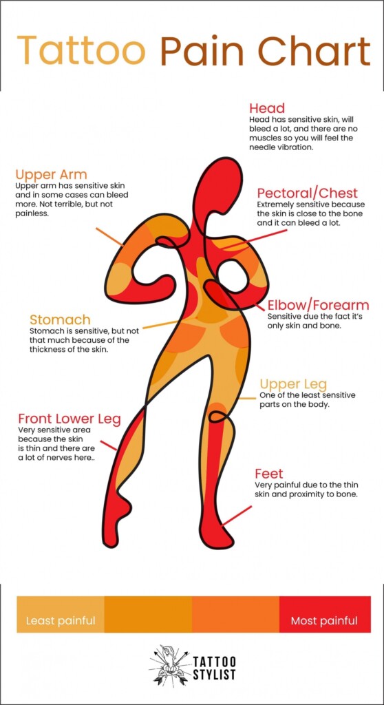 Scared Of Tattoo Pain Here Are The Facts You Need Tattoo Pain Chart 